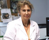 Prof. dr. Aleksandra Domanjko Petrič, dr. vet. med.