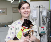 Neža Režek, dr. vet. med.