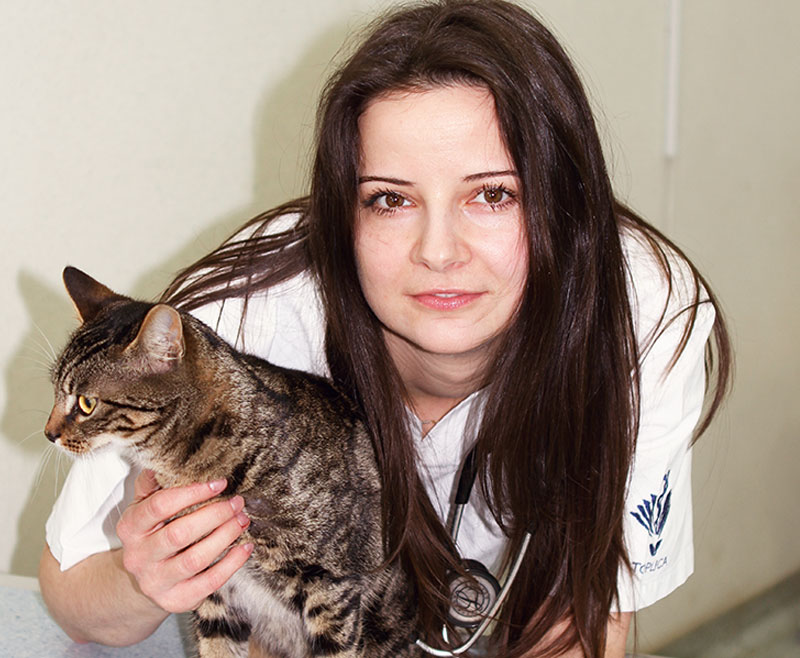 Dr. sc. Stella Breka, dr. vet. med.