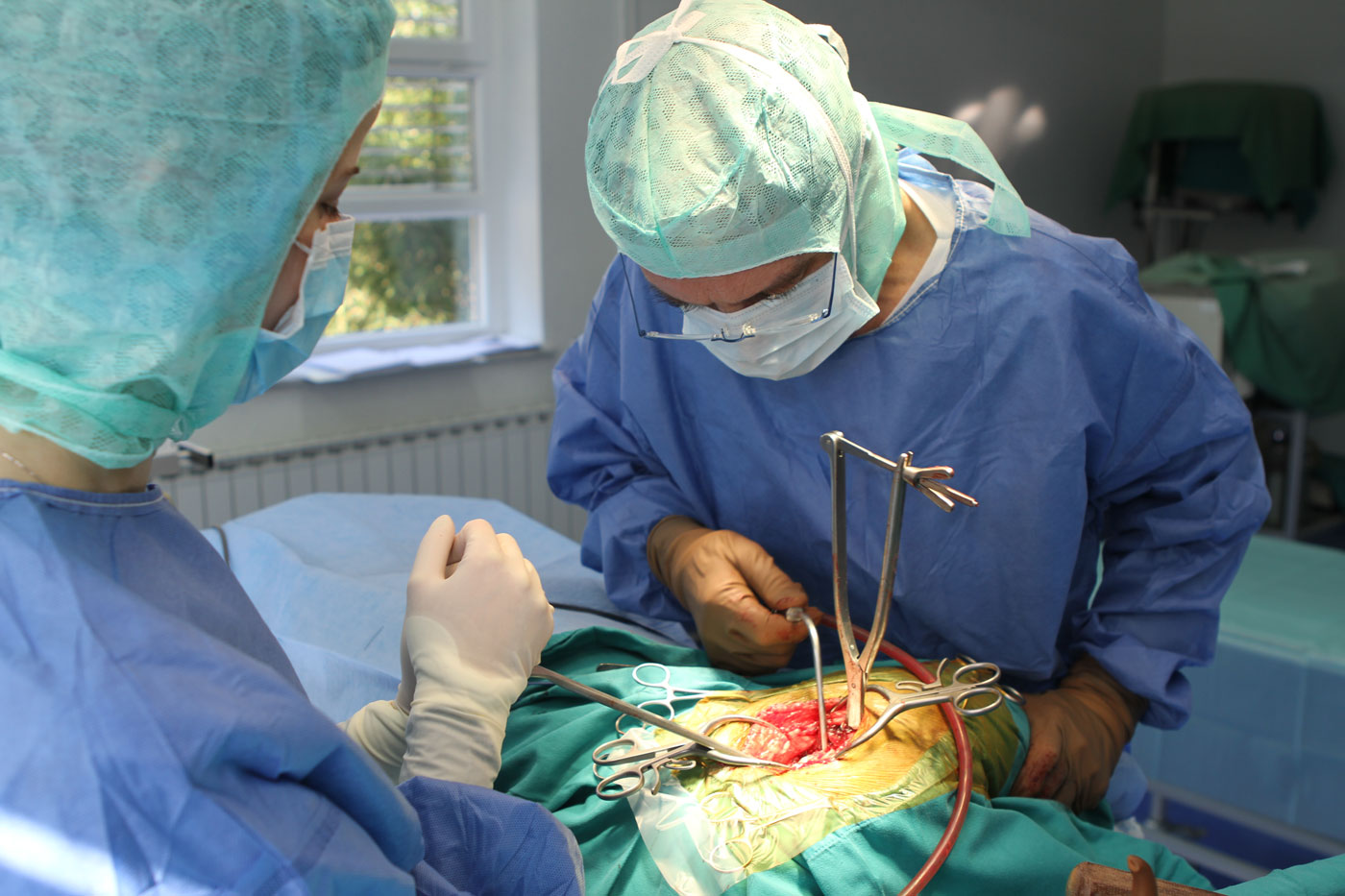Brezcementna kolčna endoproteza HELICA