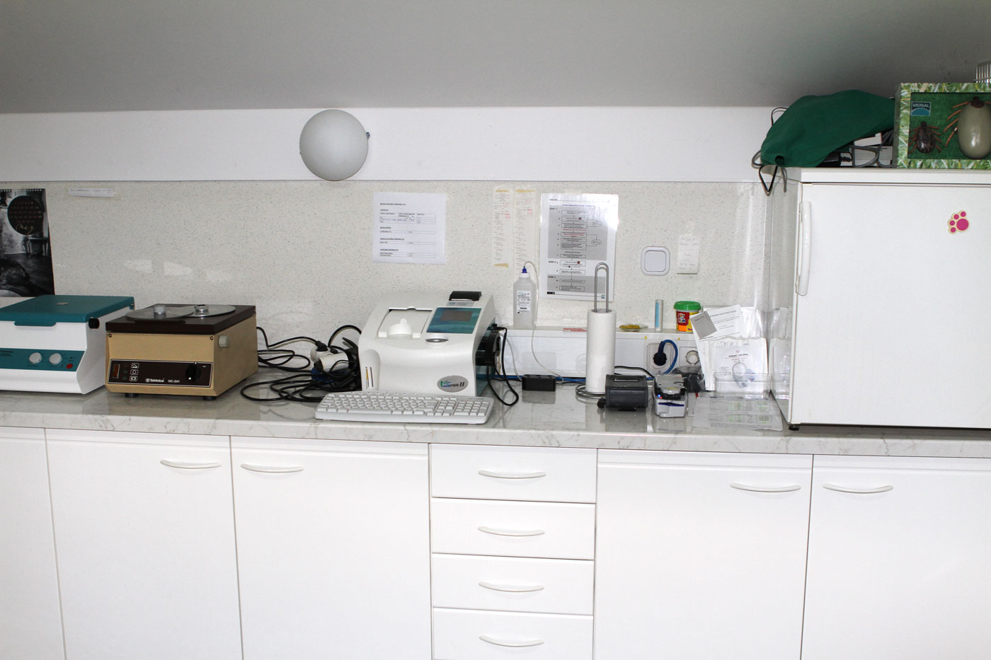Laboratorijska diagnostika