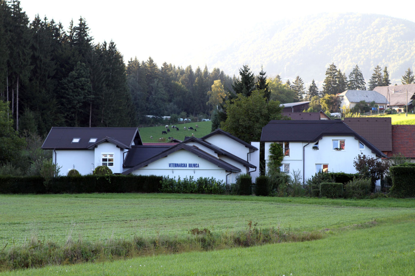 Veterinarska bolnišnica Toplica – Center za zdravljenje živali