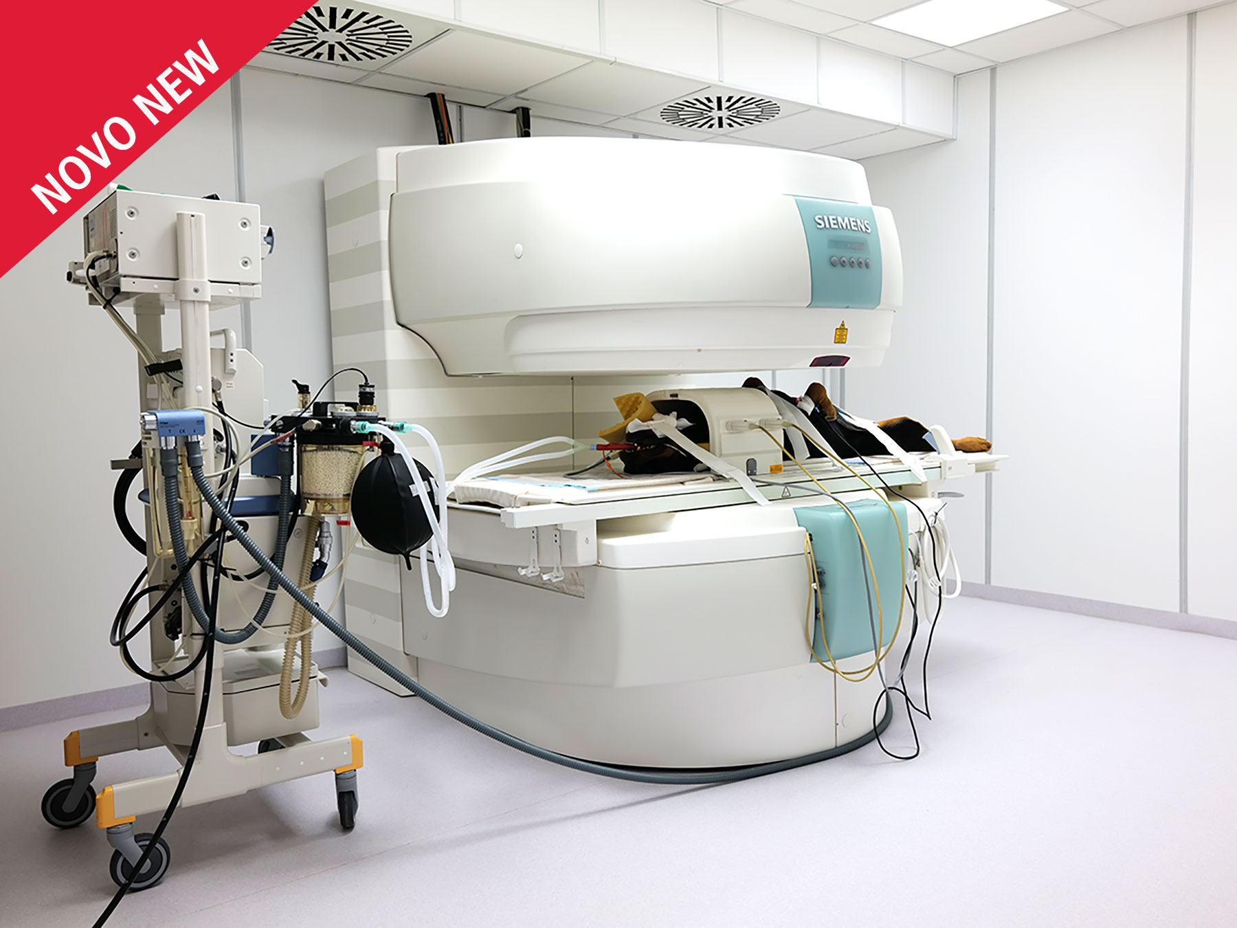 Magnetna resonanca – MRI