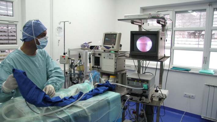 Laparoskopska sterilizacija psic