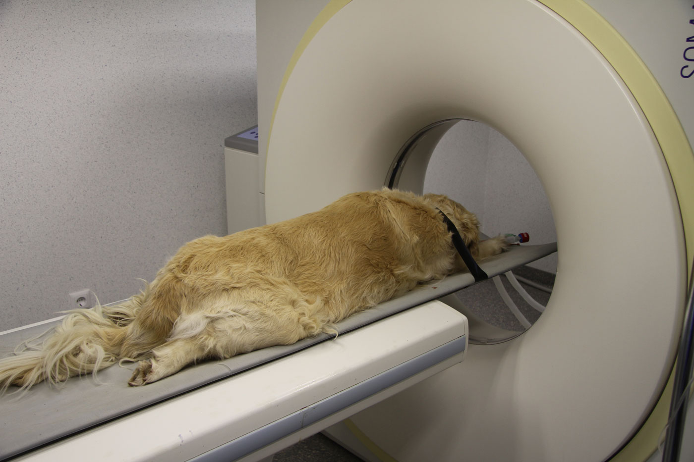 Računalniška tomografija – CT